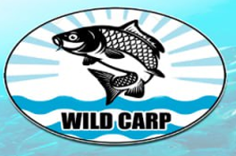 “WILD CARP” MCHJ