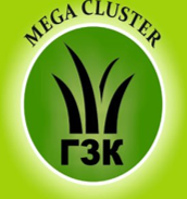 MEGACLUSTER MCHJ