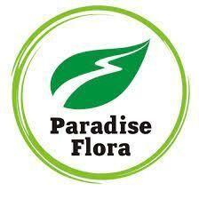 PARADISE FLORA MCHJ