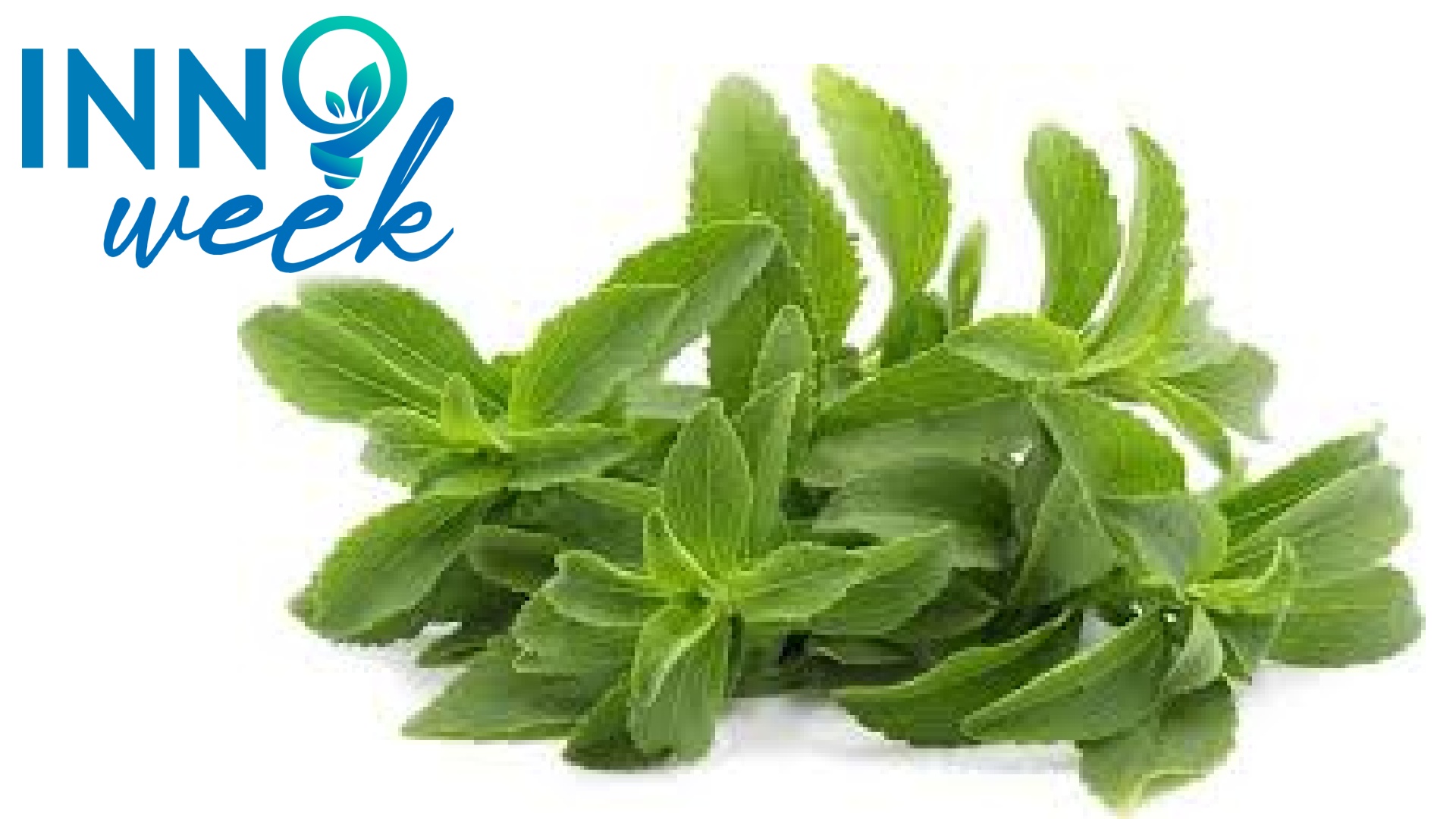 Stevia